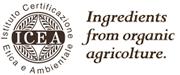 cert-icea2.jpg